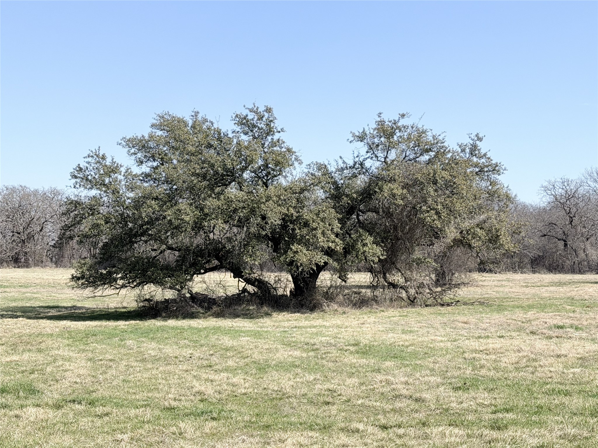 Lot 13 Lakewood Drive Whitney TX 76692