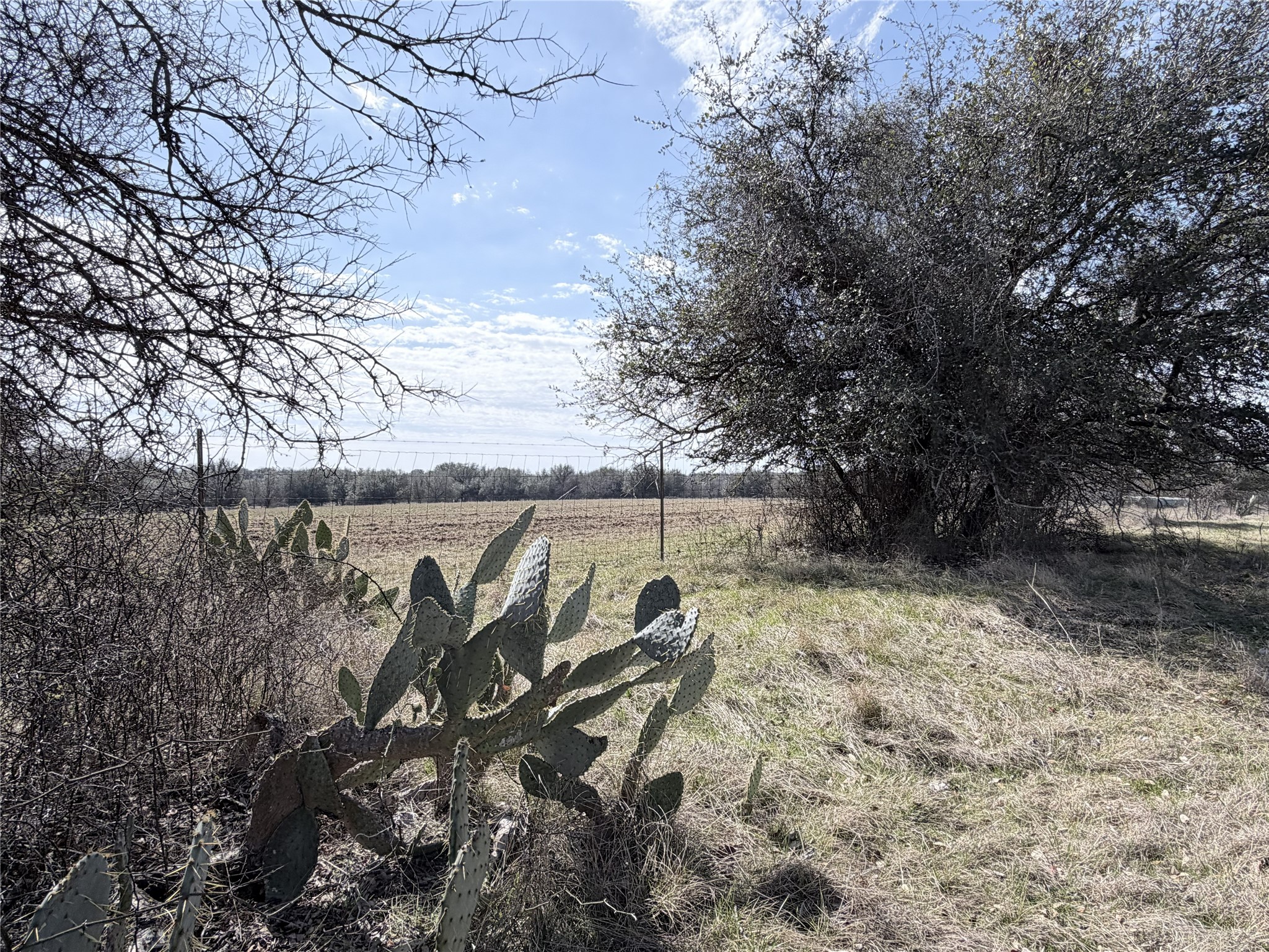 Lot 13 Lakewood Drive Whitney TX 76692