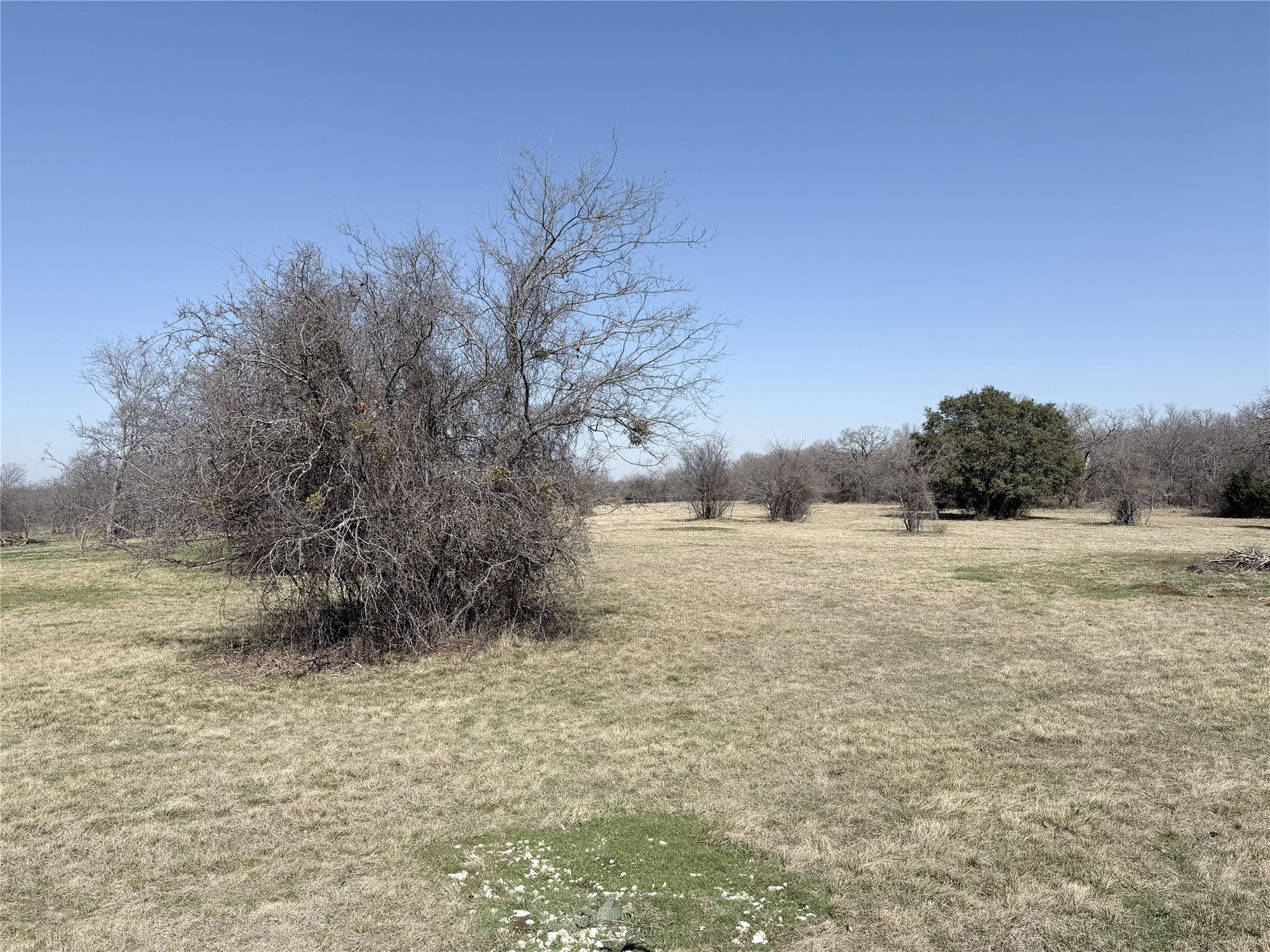Lot 13 Lakewood Drive Whitney TX 76692