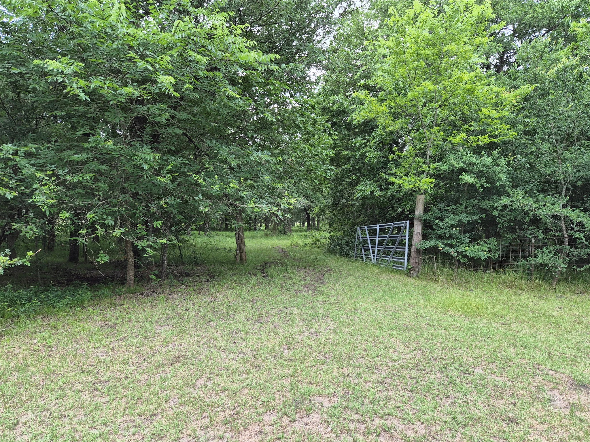 Tbd Count Road 1020 Wolfe City TX 75496