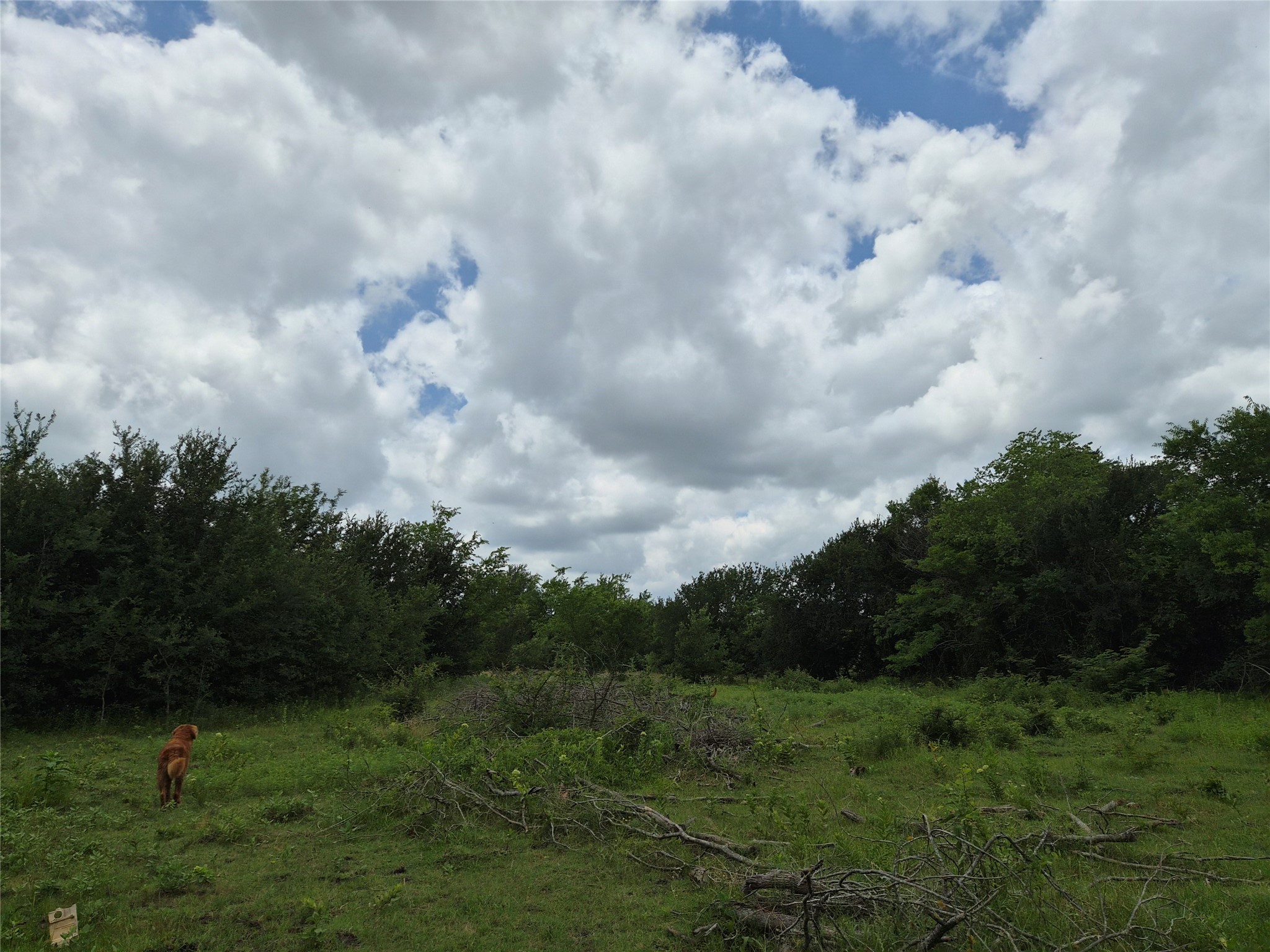 Tbd Count Road 1020 Wolfe City TX 75496