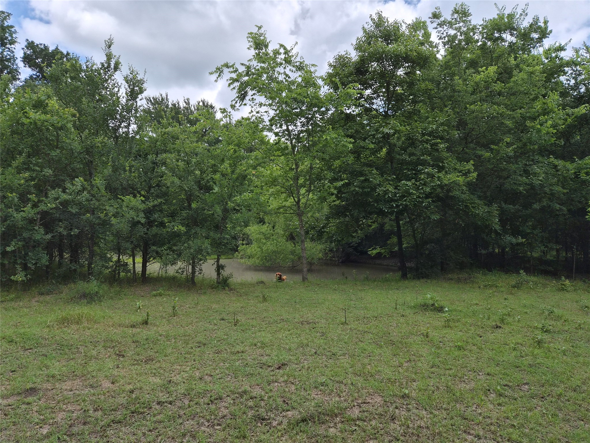 Tbd Count Road 1020 Wolfe City TX 75496