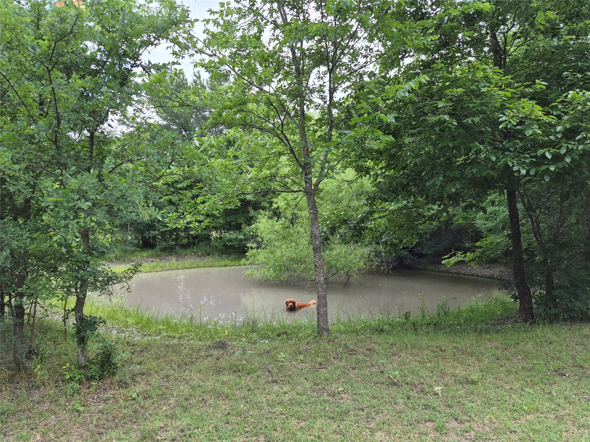 Tbd Count Road 1020 Wolfe City TX 75496