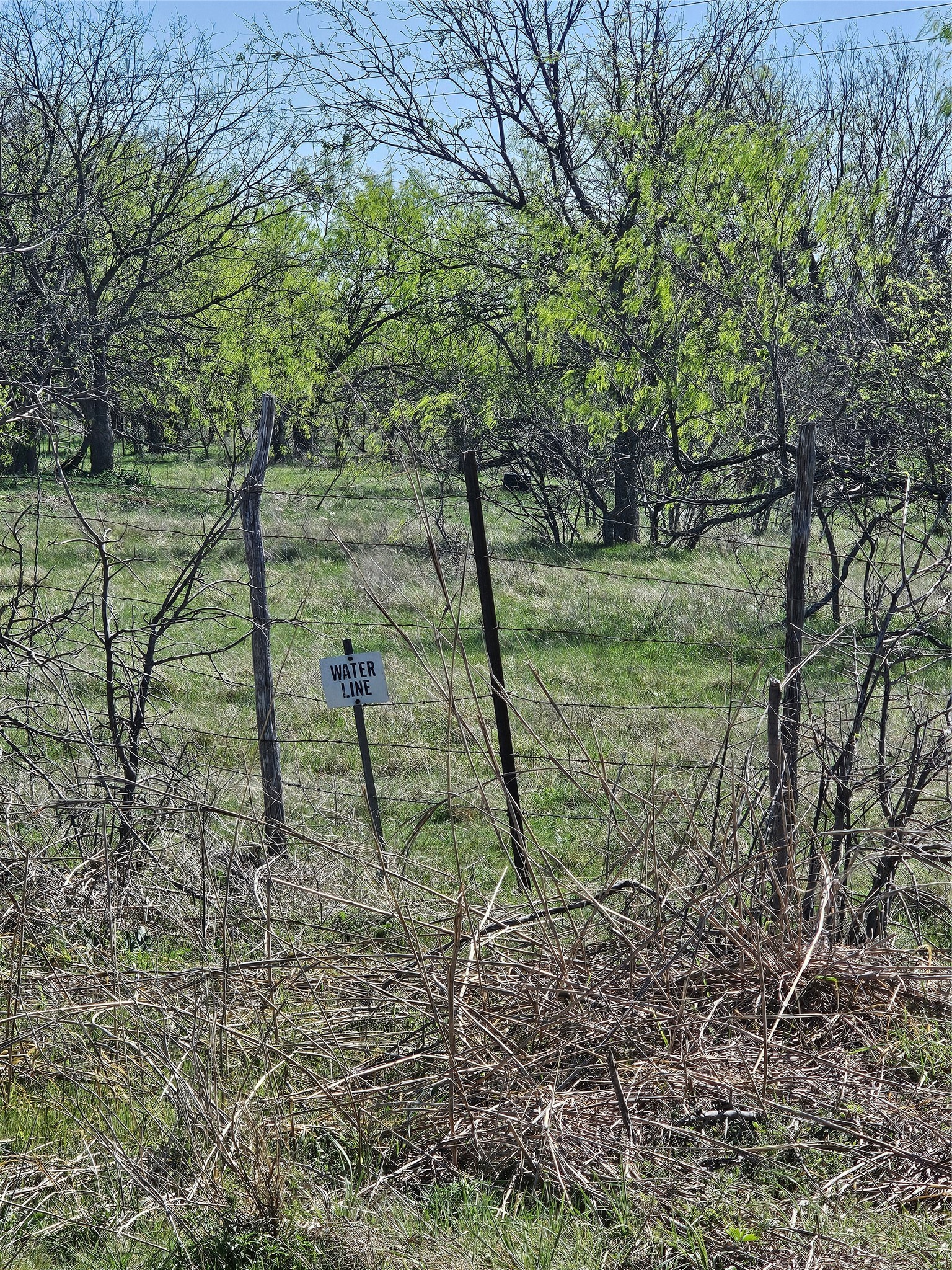 0000 Fm 708 Clifton TX 76634