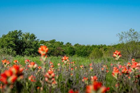 1451 Hemming Road Valley View TX 76272
