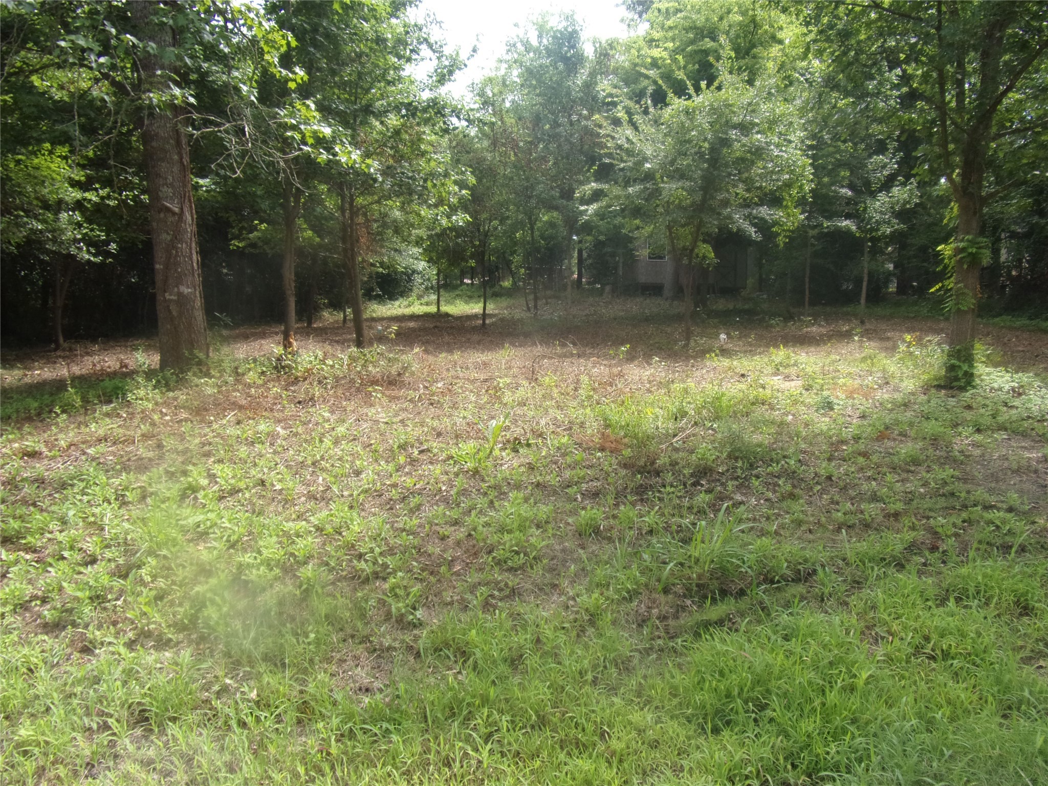 751 Dogwood Trail Murchison TX 75778