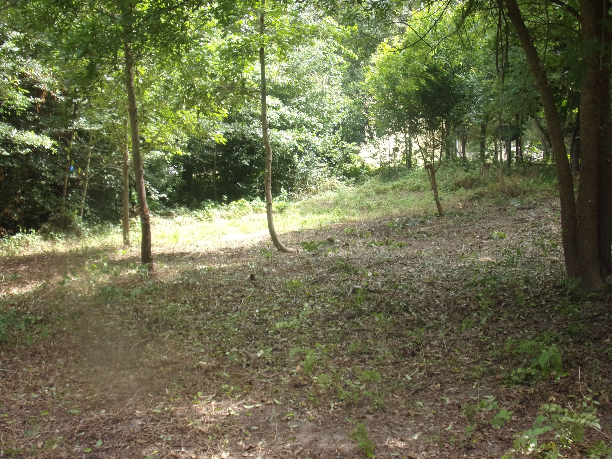 751 Dogwood Trail Murchison TX 75778