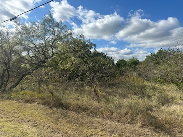 1607 White Bluff Drive Whitney TX 76692
