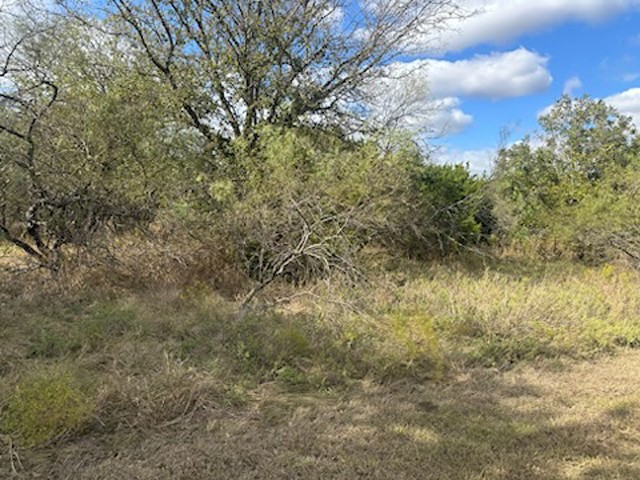 1607 White Bluff Drive Whitney TX 76692
