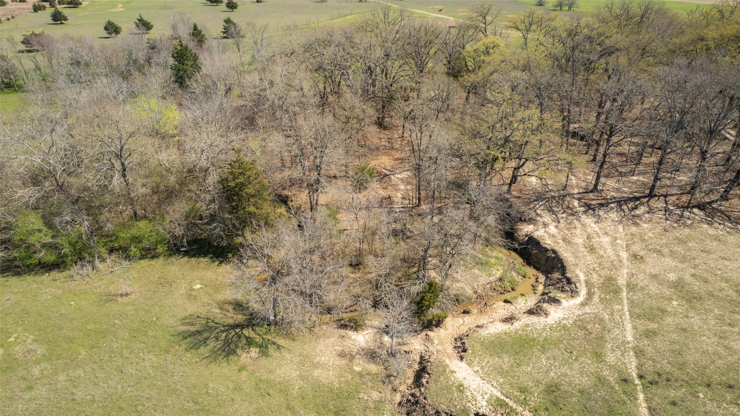33 Acres Farm Road 69 Sulphur Bluff TX 75481