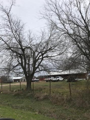 13717 State Highway 11 W Cumby TX 75433