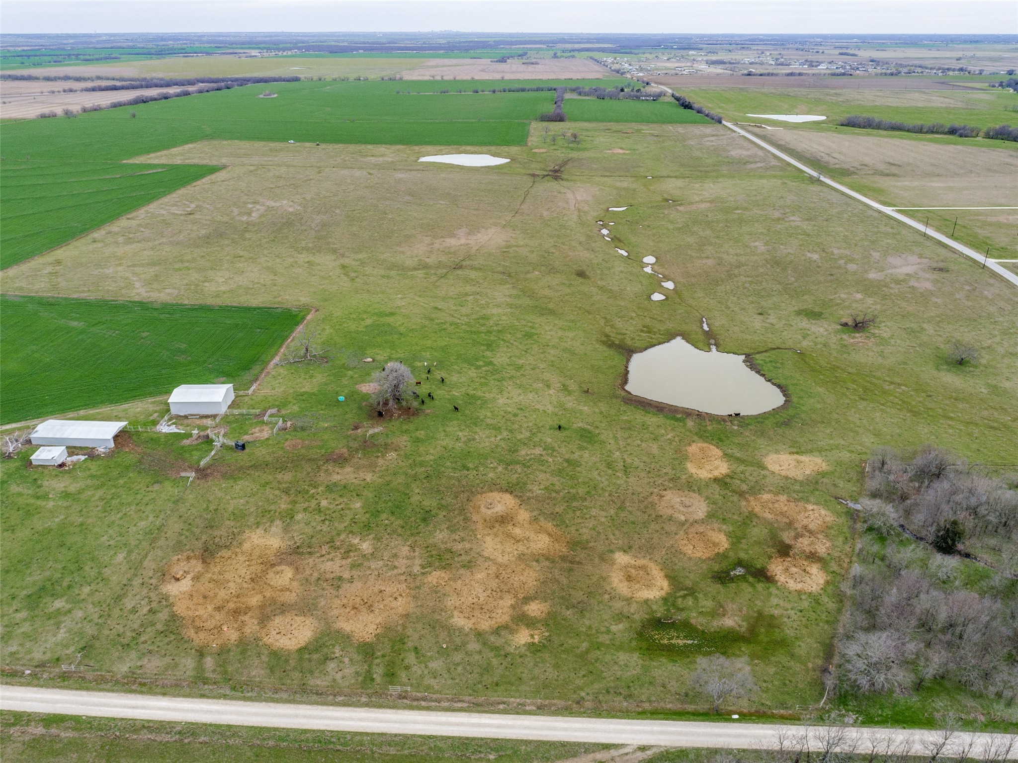 Tbd Lot 1 Baker Road Pilot Point TX 76271