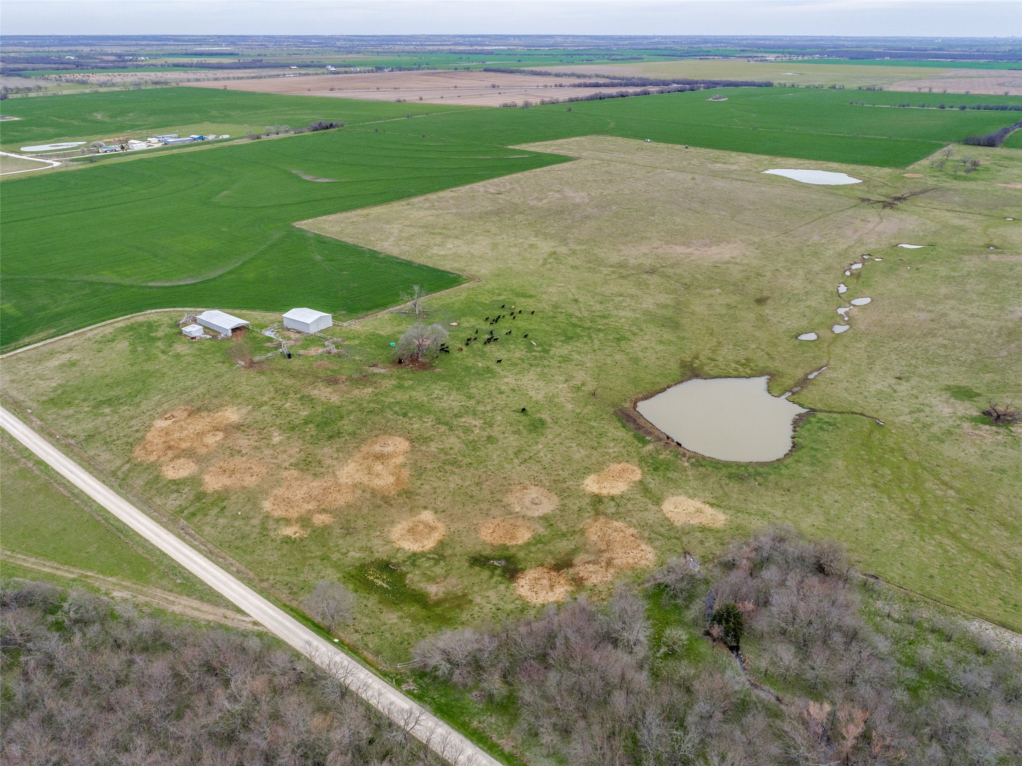 Tbd Lot 1 Baker Road Pilot Point TX 76271