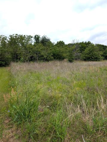 0 Meadow Heath Drive Gun Barrel City TX 75156