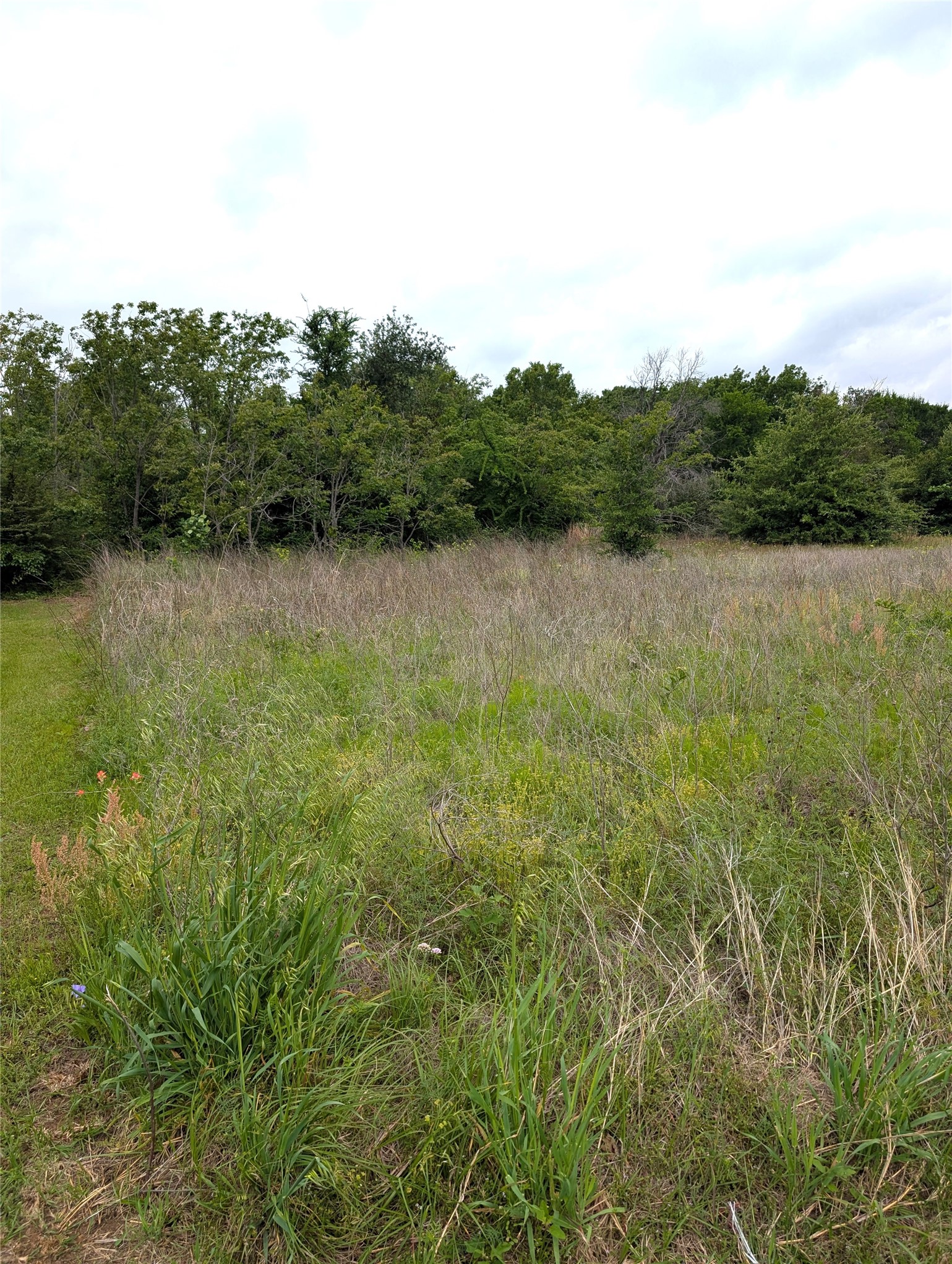0 Meadow Heath Drive Gun Barrel City TX 75156