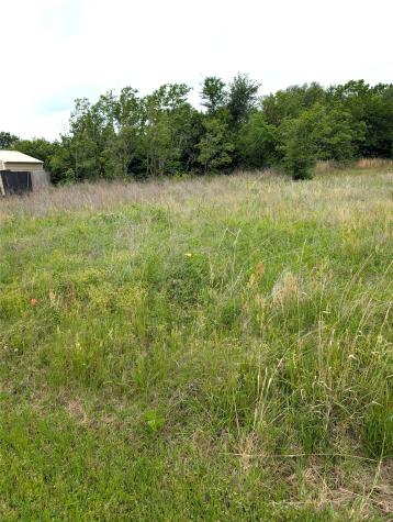 0 Meadow Heath Drive Gun Barrel City TX 75156