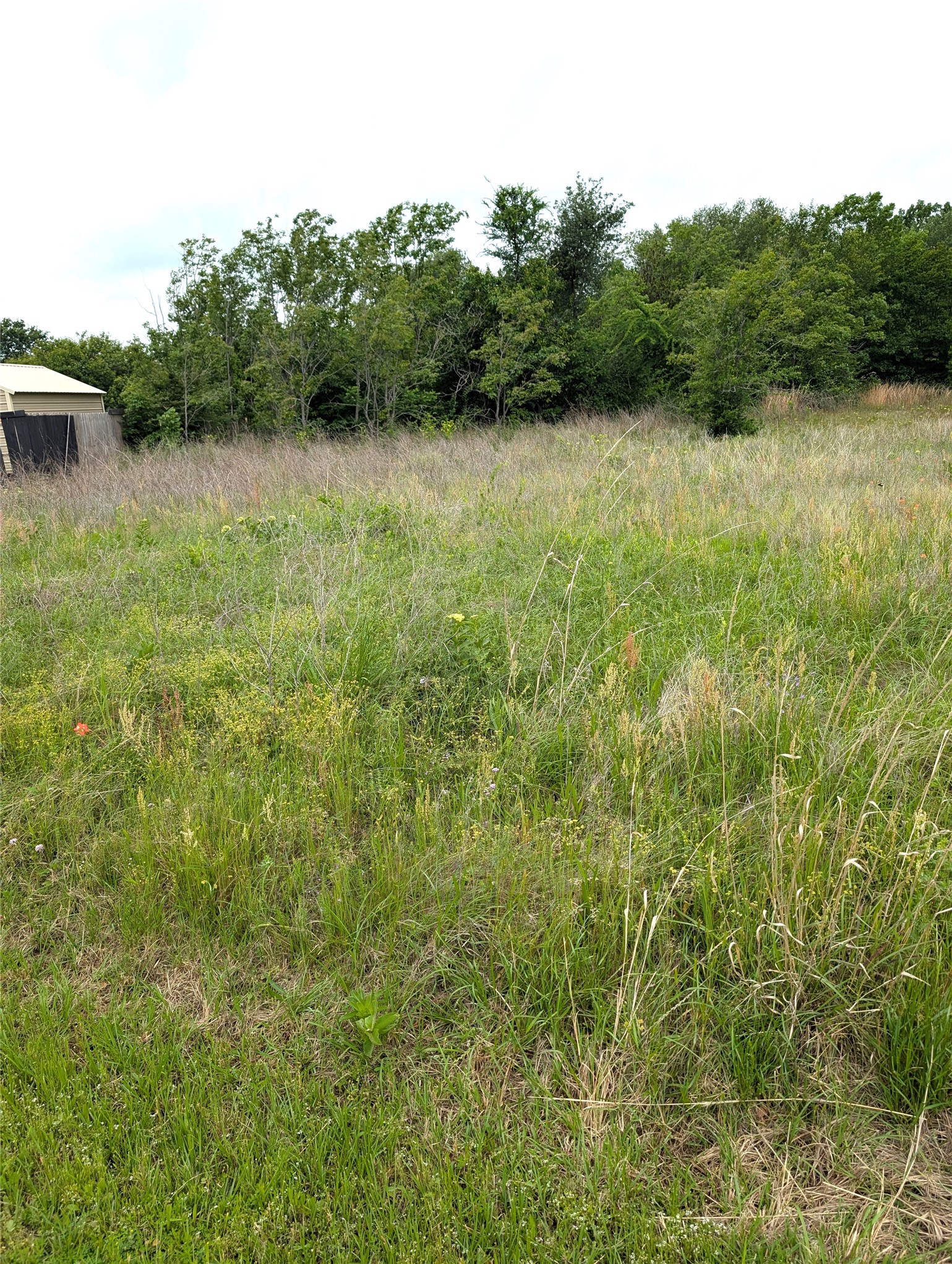 0 Meadow Heath Drive Gun Barrel City TX 75156