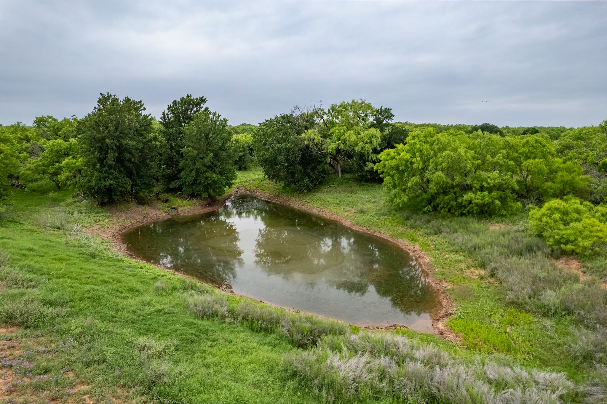 1853 County Road 220 Rockwood TX 76873