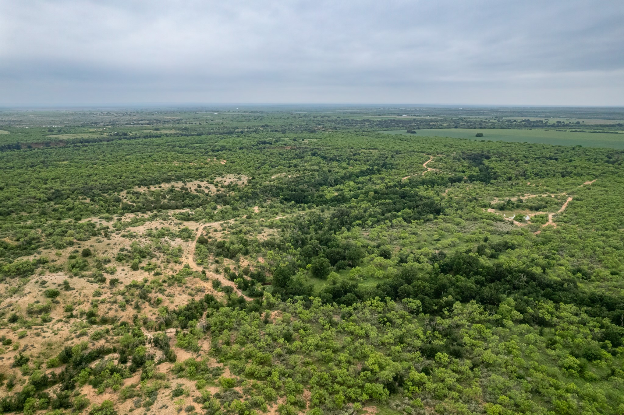 1853 County Road 220 Rockwood TX 76873