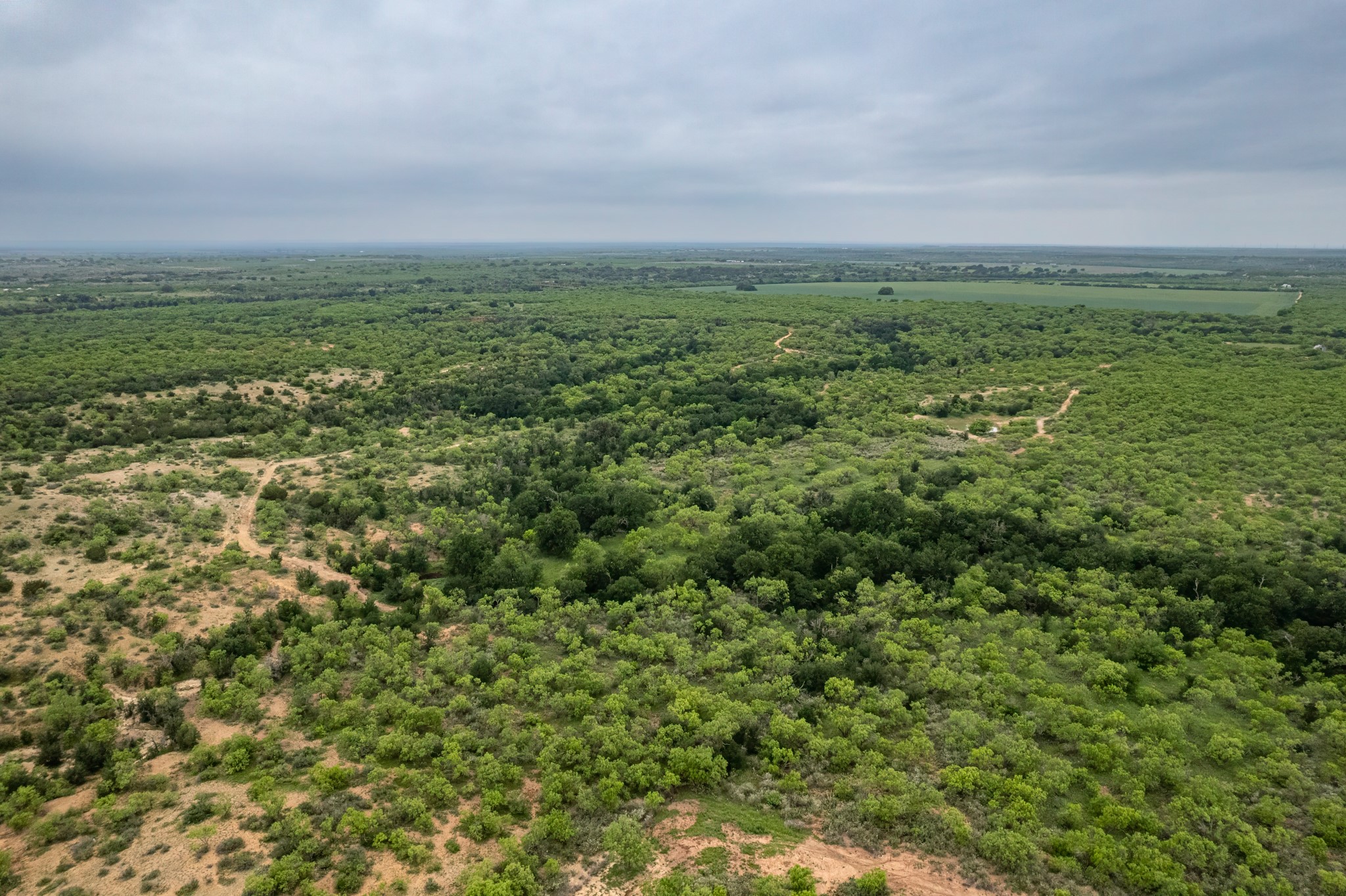 1853 County Road 220 Rockwood TX 76873