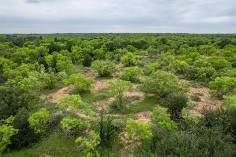 1853 County Road 220 Rockwood TX 76873