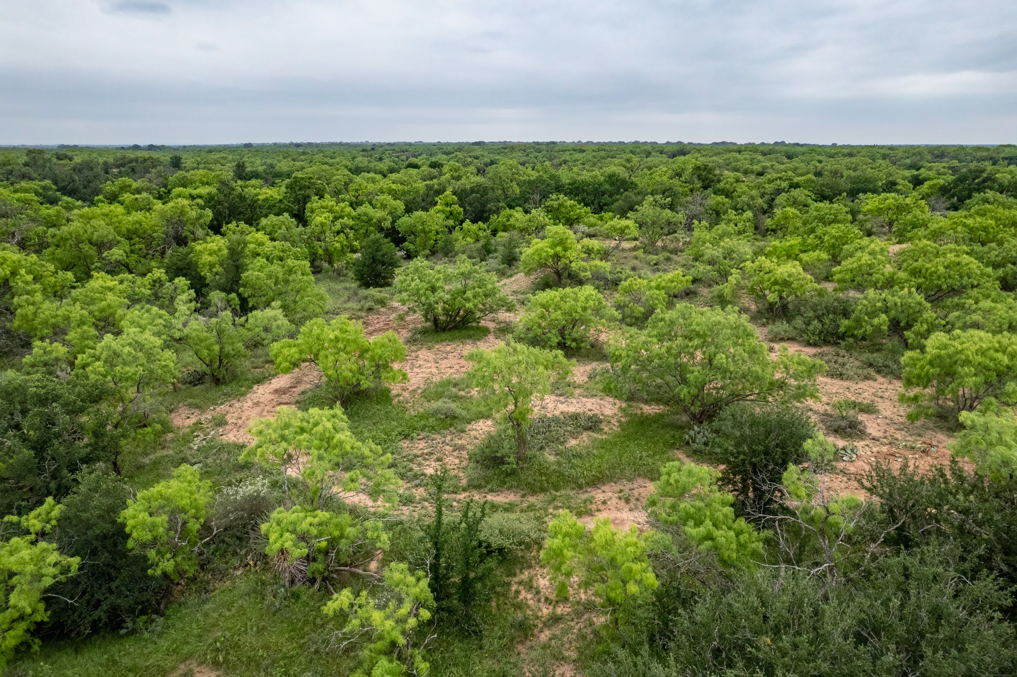 1853 County Road 220 Rockwood TX 76873