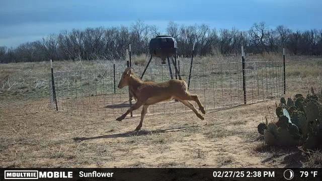 1853 County Road 220 Rockwood TX 76873