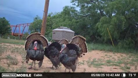 1853 County Road 220 Rockwood TX 76873