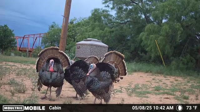 1853 County Road 220 Rockwood TX 76873