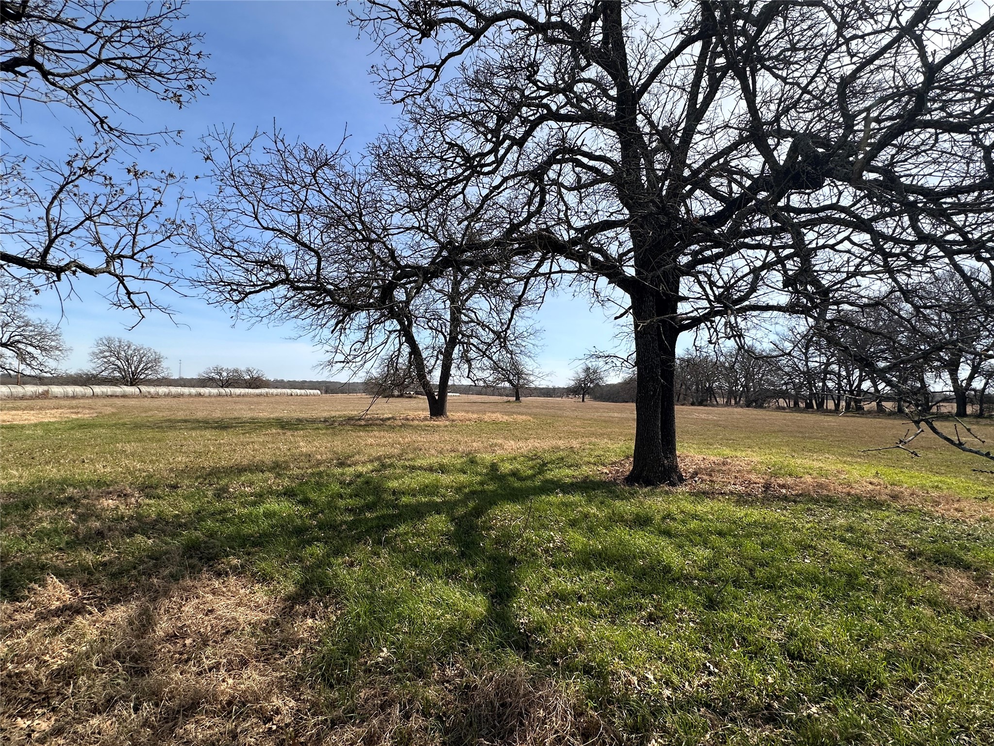 Tbd 14.697 Acres Hcr 1431 Covington TX 76636