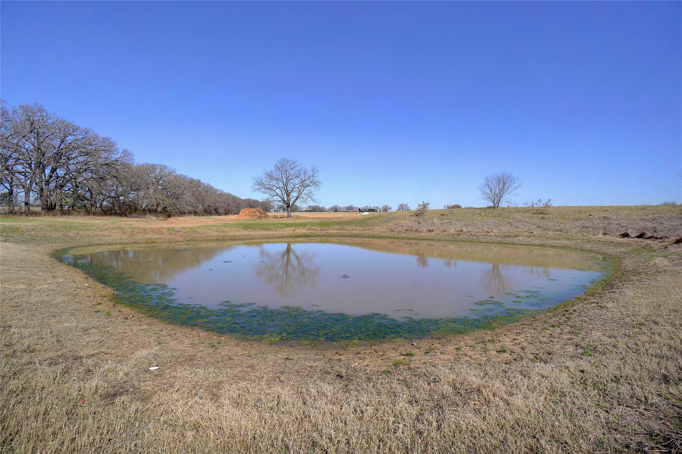 Tbd 14.697 Acres Hcr 1431 Covington TX 76636