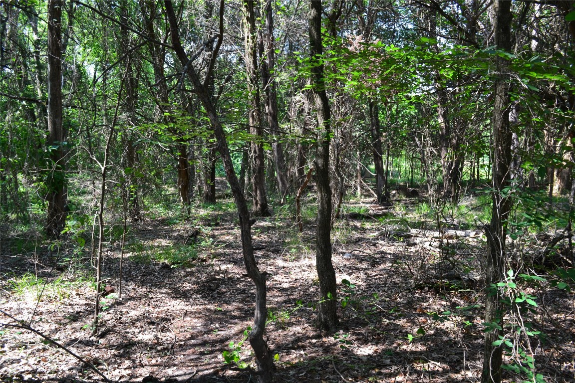 Tract 1 Tbd County Road 2244 Road Quinlan TX 75474