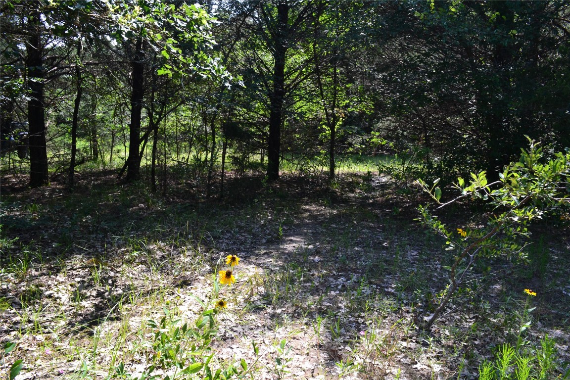 Tract 1 Tbd County Road 2244 Road Quinlan TX 75474