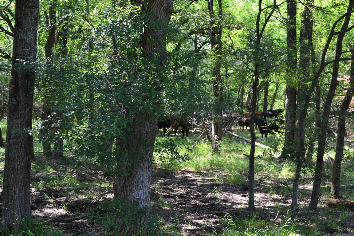 Tract 1 Tbd County Road 2244 Road Quinlan TX 75474
