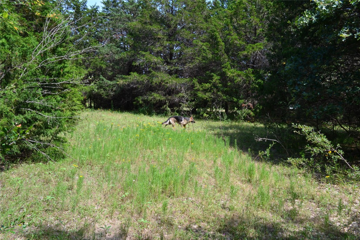 Tract 1 Tbd County Road 2244 Road Quinlan TX 75474