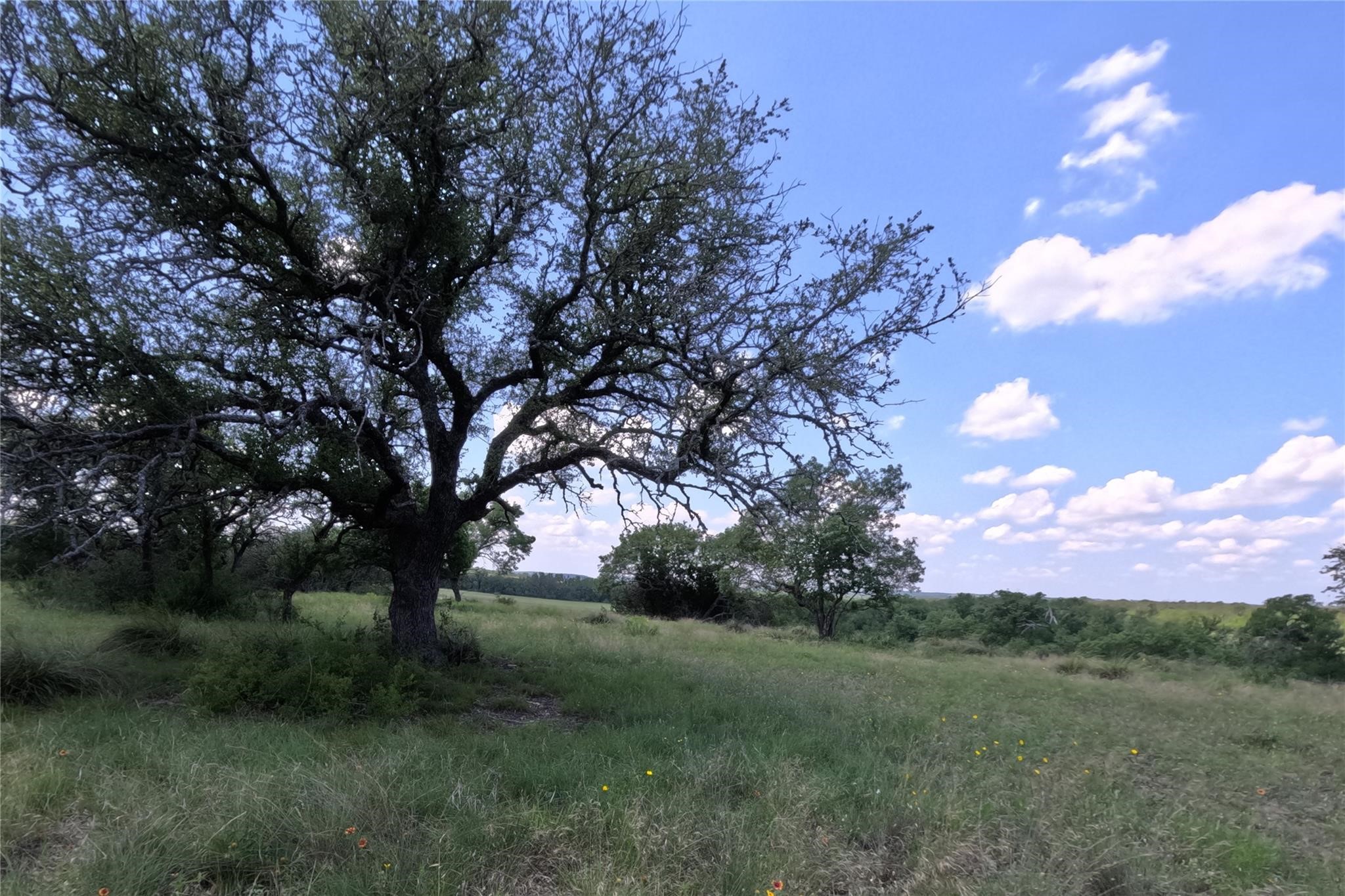 7642 Cr 512 Road Hamilton TX 76880