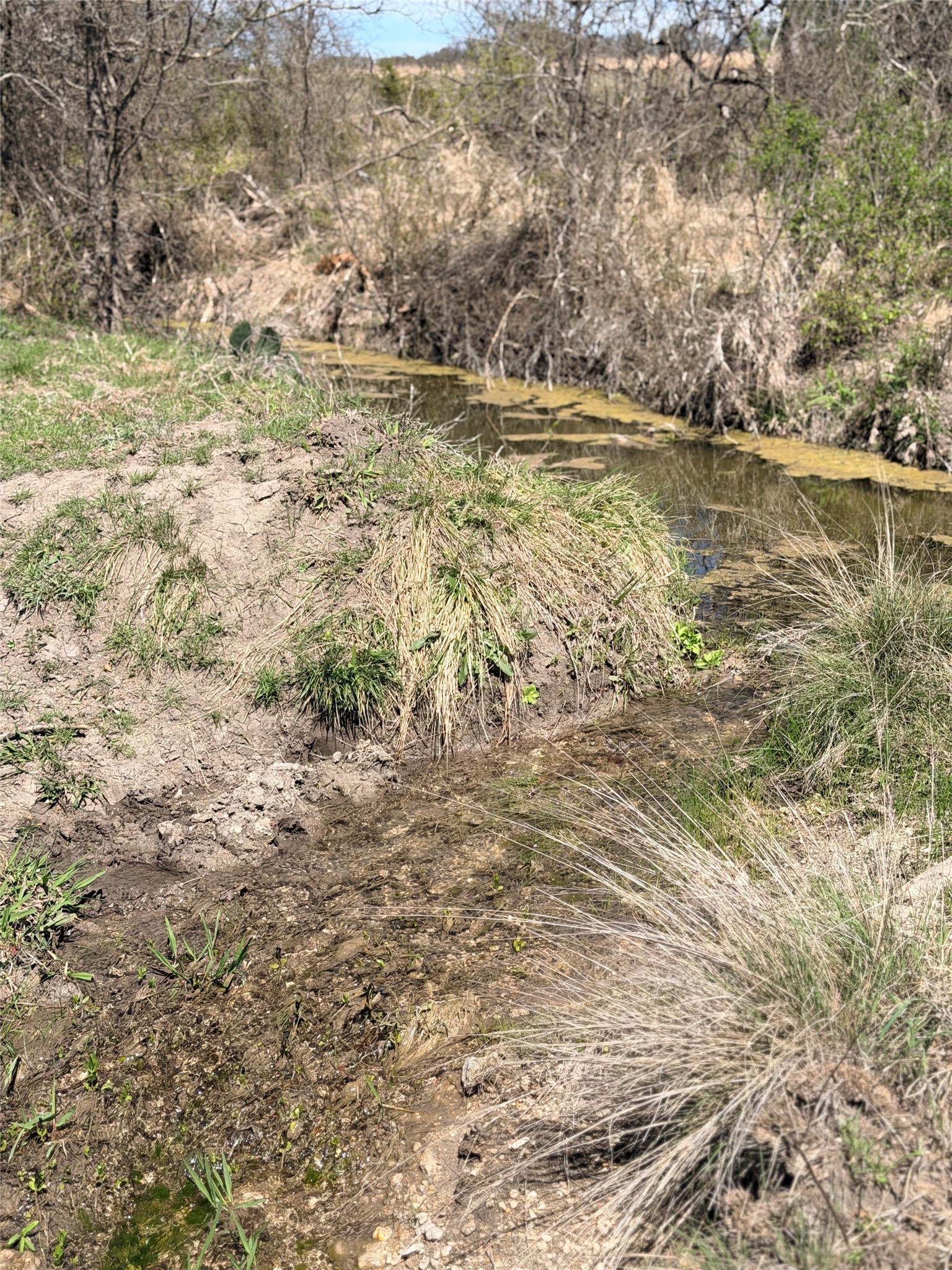 7642 Cr 512 Road Hamilton TX 76880