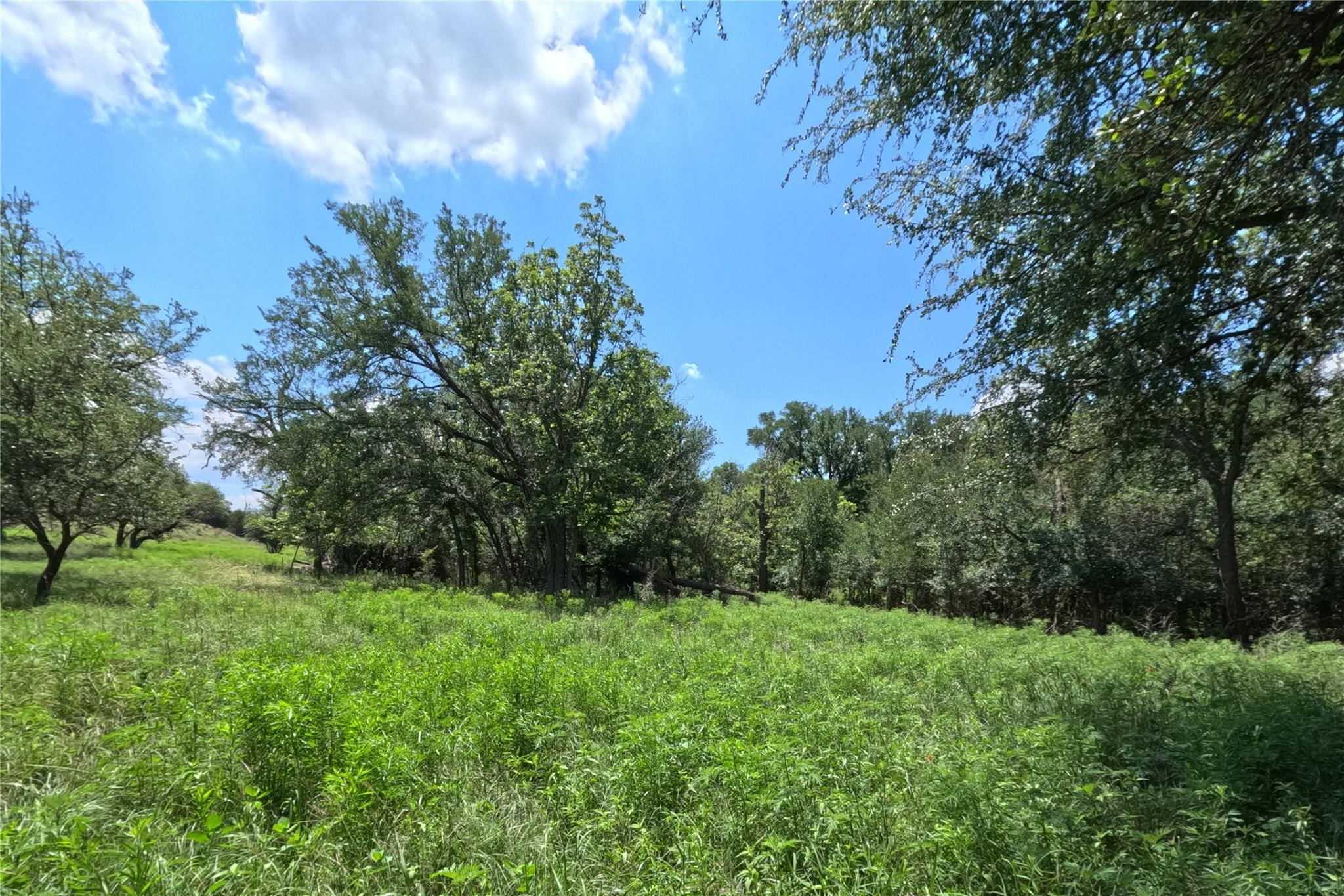 7642 Cr 512 Road Hamilton TX 76880