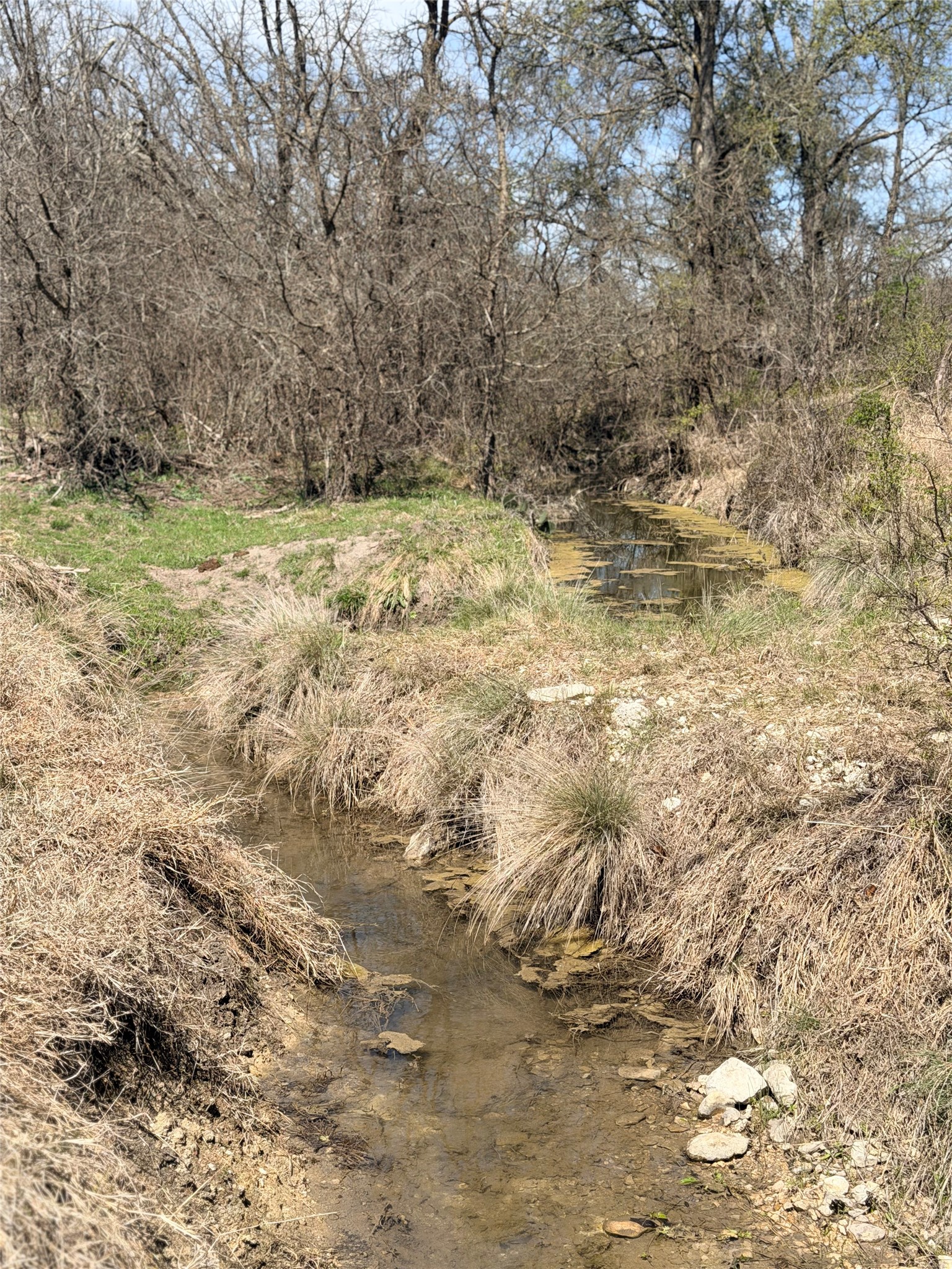 7642 Cr 512 Road Hamilton TX 76880