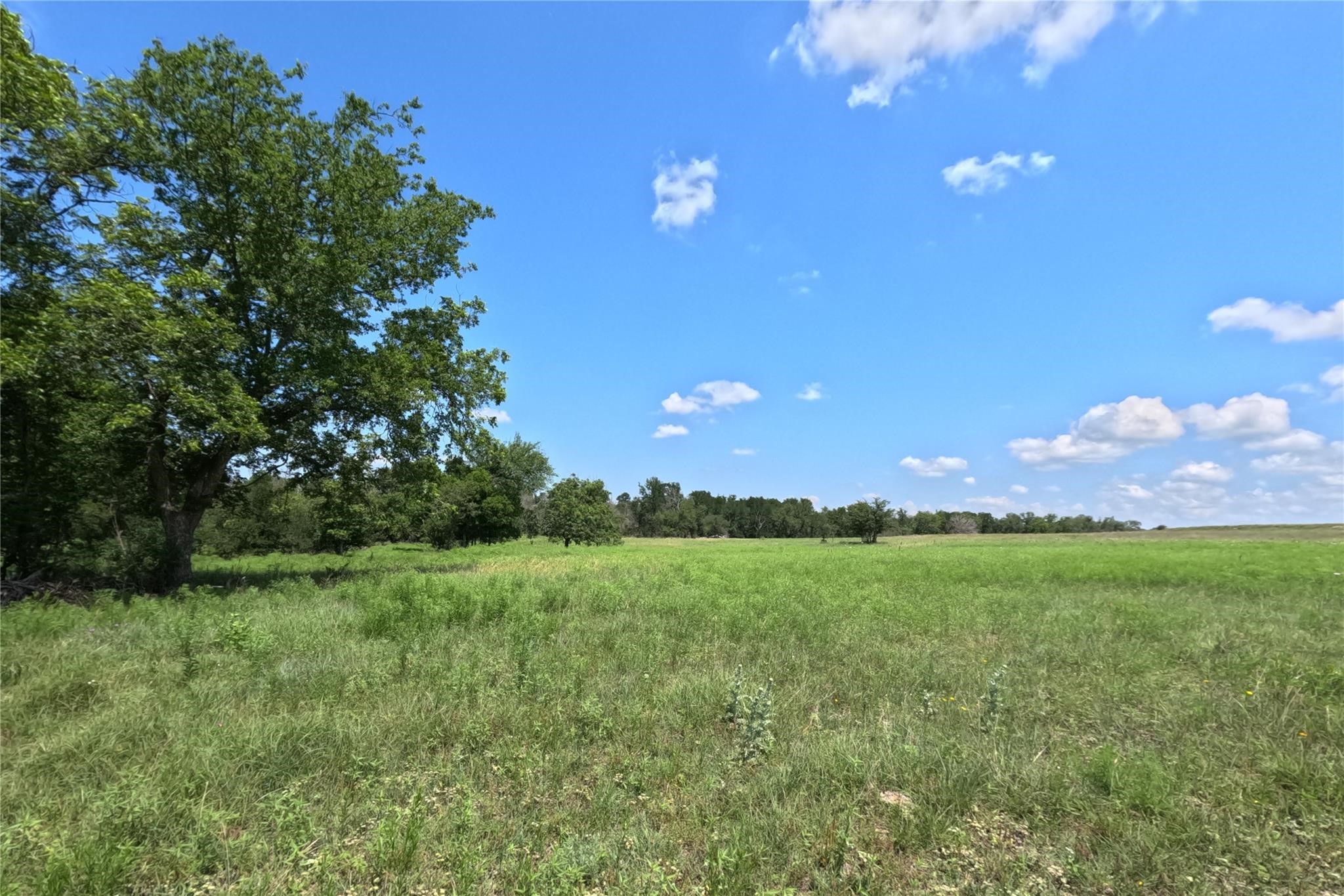7642 Cr 512 Road Hamilton TX 76880