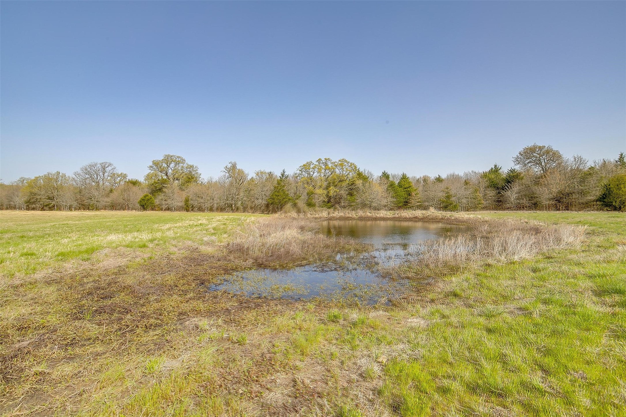11833 Southview Drive Kemp TX 75143