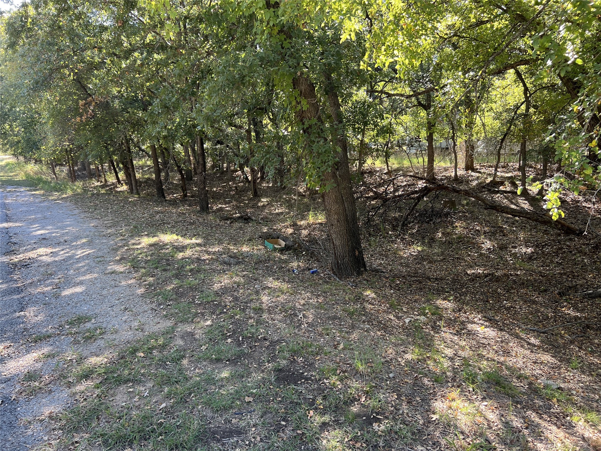 366 Timberdell Drive May TX 76857