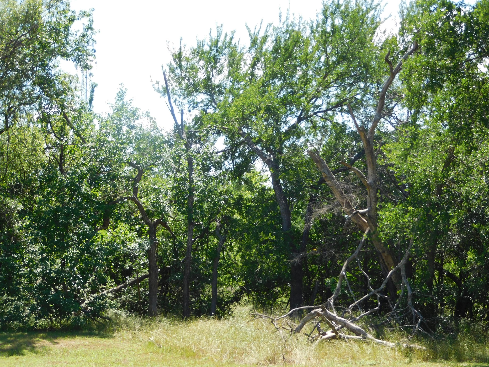 0FF Locust Avenue Hubbard TX 76648