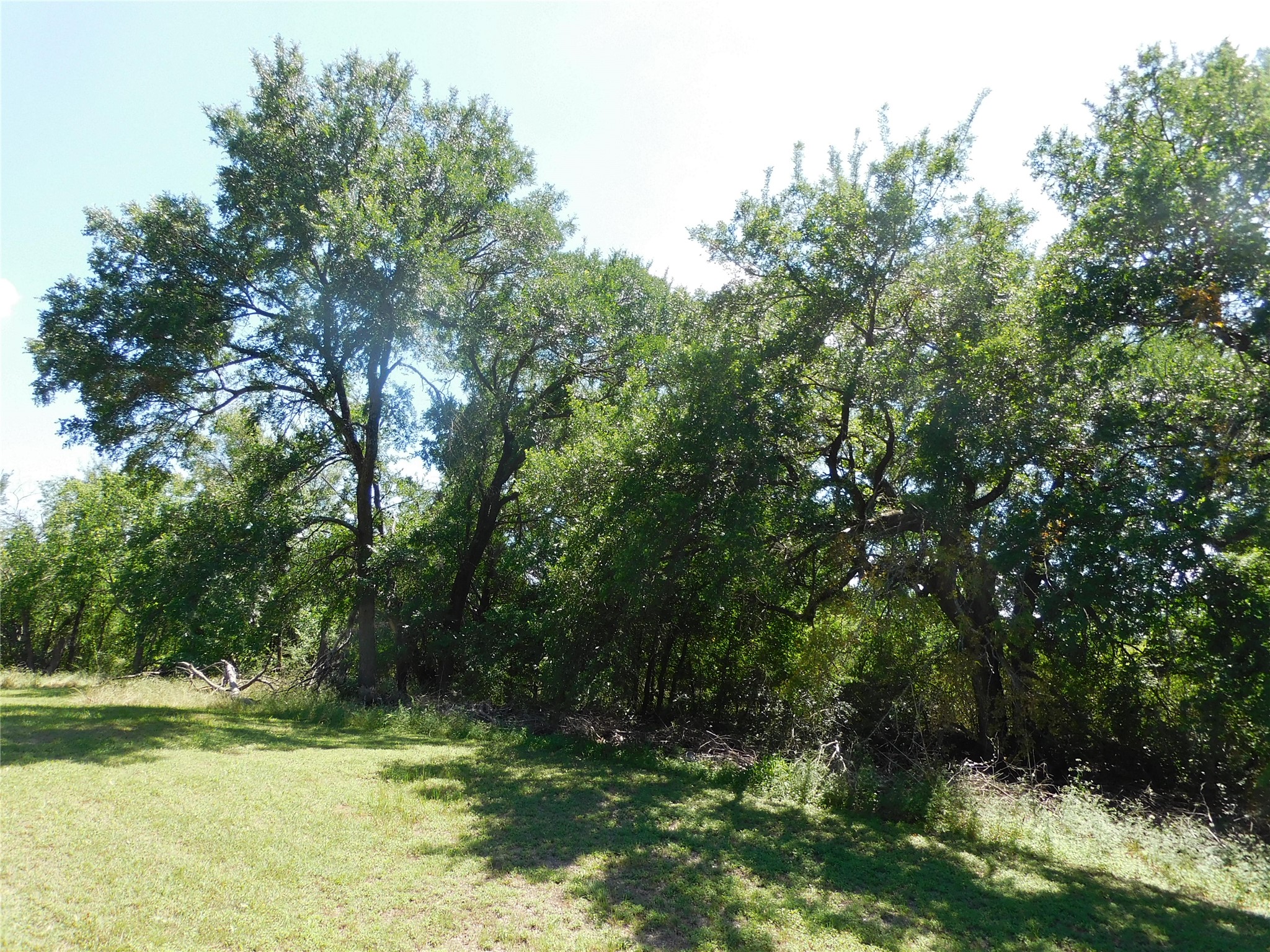 0FF Locust Avenue Hubbard TX 76648