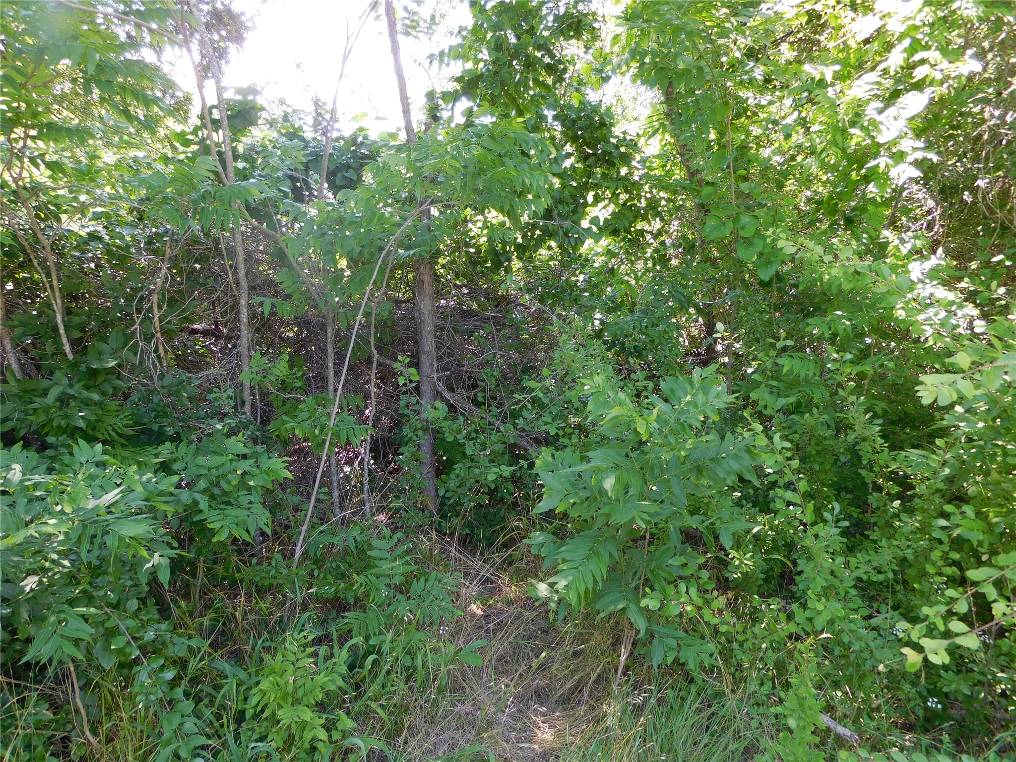 0FF Locust Avenue Hubbard TX 76648
