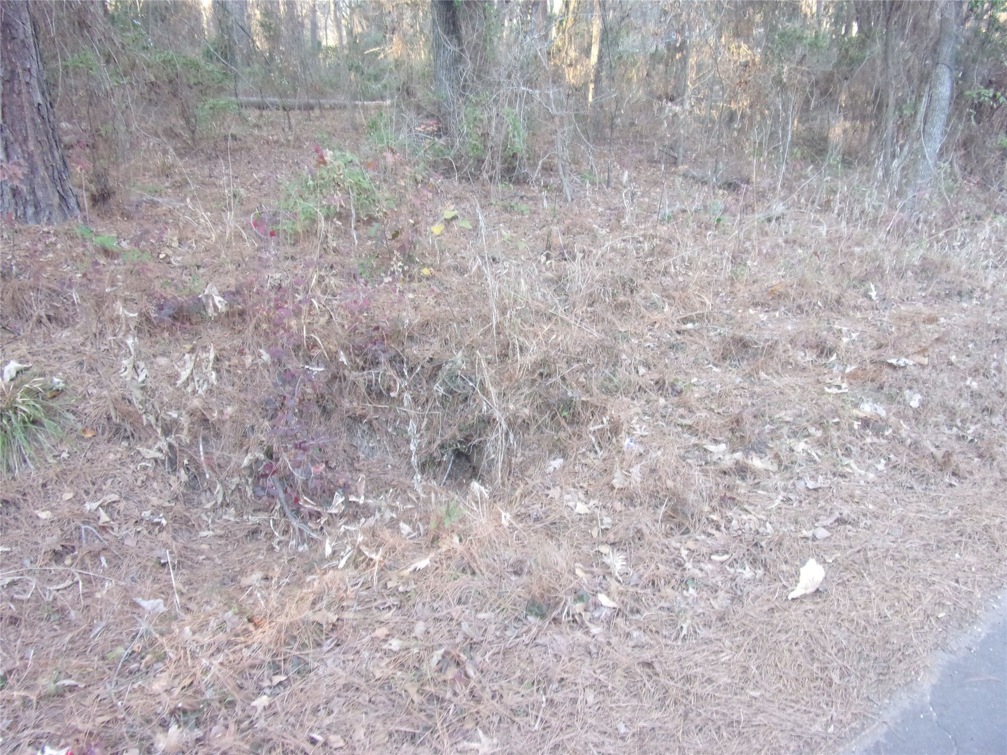 Tbd Lake Side Drive Flint TX 75762
