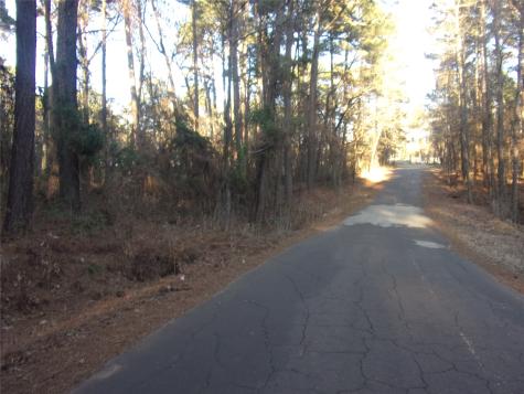 Tbd Lake Side Drive Flint TX 75762