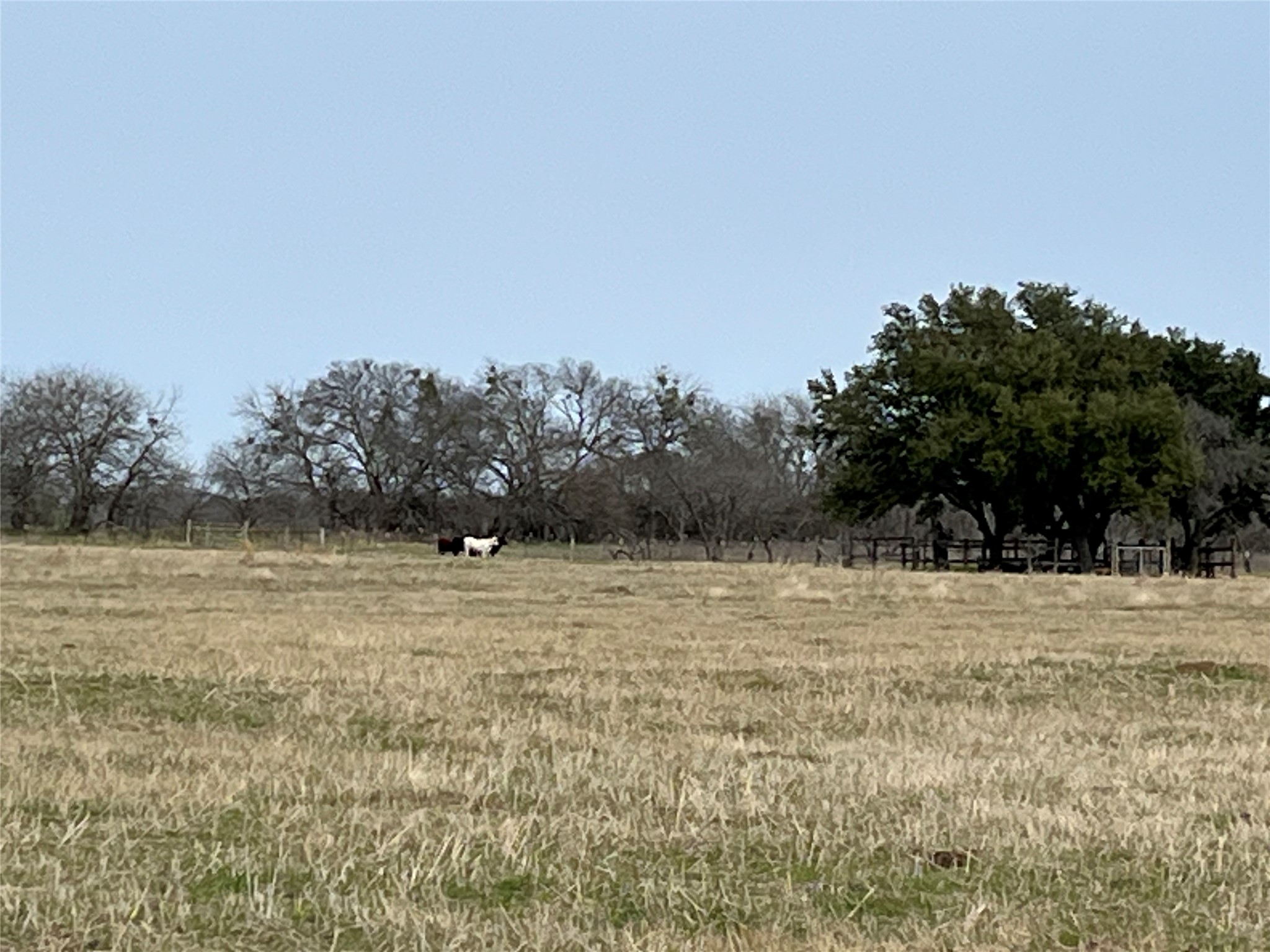 Tbd NW Cr 4010 Blooming Grove TX 76626