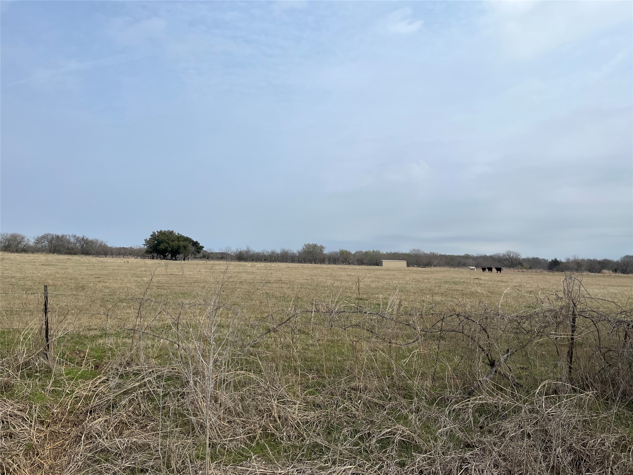 Tbd NW Cr 4010 Blooming Grove TX 76626