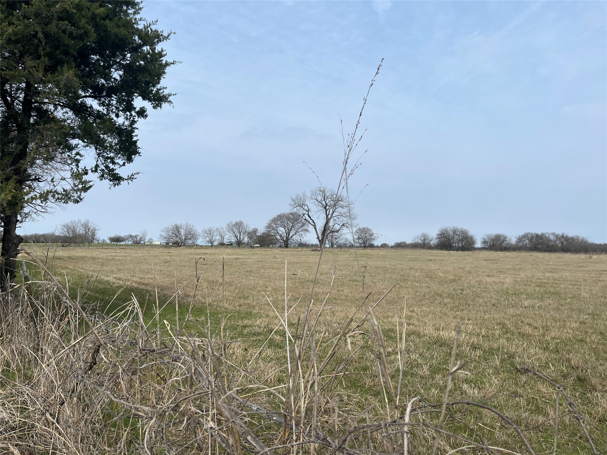 Tbd NW Cr 4010 Blooming Grove TX 76626